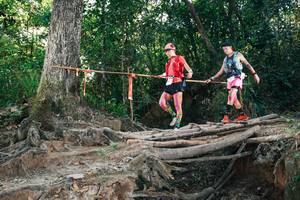 BIB: 
                            <button type="button" onclick="openModal(27302169)" class="btn btn-primary btn-sm float-right btn-popup" data-toggle="modal" data-target=".modal-high-quality">
                        <i class="fas fa-shopping-cart"></i> Add to Cart
                    </button>
                                            <button type="button" onclick="isThisMe(27302169, true)" class="btn btn-success btn-sm float-right btn-popup btn-isme hidden" data-toggle="tooltip" data-placement="bottom" title="นี่คือรูปของคุณใช่ไหม คลิกที่นี่เพื่อเอาเข้าอัลบั้ม">
                        <i class="fas fa-plus"></i> Add to album
                    </button>
                    <button type="button" onclick="isThisMe(27302169, false)" class="btn btn-warning btn-sm float-right btn-popup btn-isnotme hidden">
                        <i class="fas fa-ban"></i> Remove from album
                    </button>